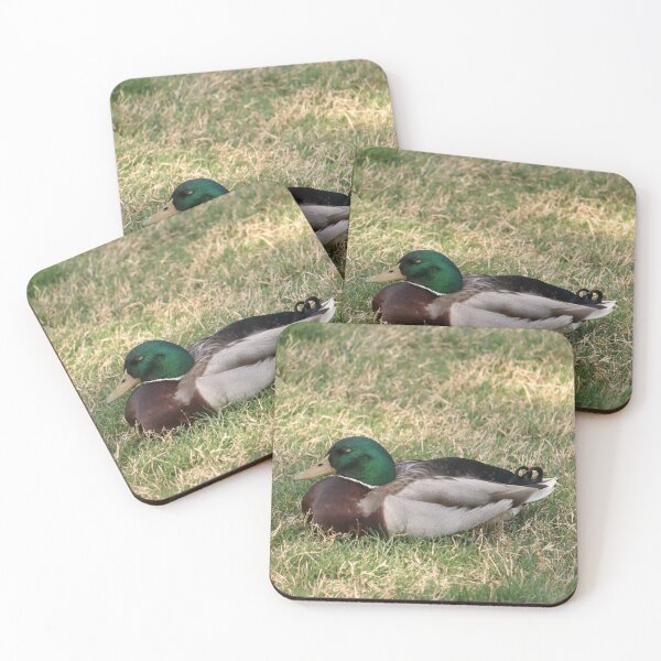 Item preview, Sleepy Mallard Duck in the Grass designed and sold by KsbAesthetics.
