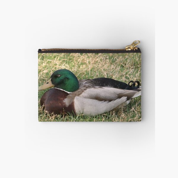 Item preview, Sleepy Mallard Duck in the Grass designed and sold by KsbAesthetics.