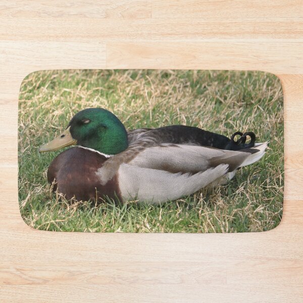 Item preview, Sleepy Mallard Duck in the Grass designed and sold by KsbAesthetics.