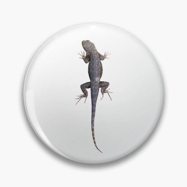 Item preview, Cute Small Wild Lizard Sunning designed and sold by KsbAesthetics.
