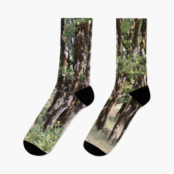 Item preview, Green Peaceful Summertime Forest designed and sold by KsbAesthetics.