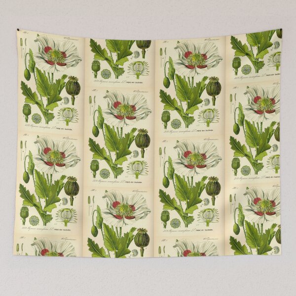 Item preview, Antique Botanical Poppy Flower Illustration designed and sold by Paintraven.