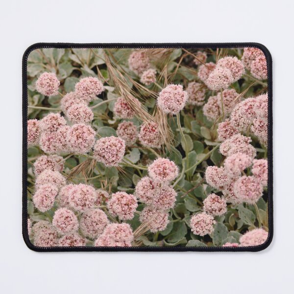 Item preview, Pretty Pink Summer Beach Buckwheat Flowers designed and sold by KsbAesthetics.