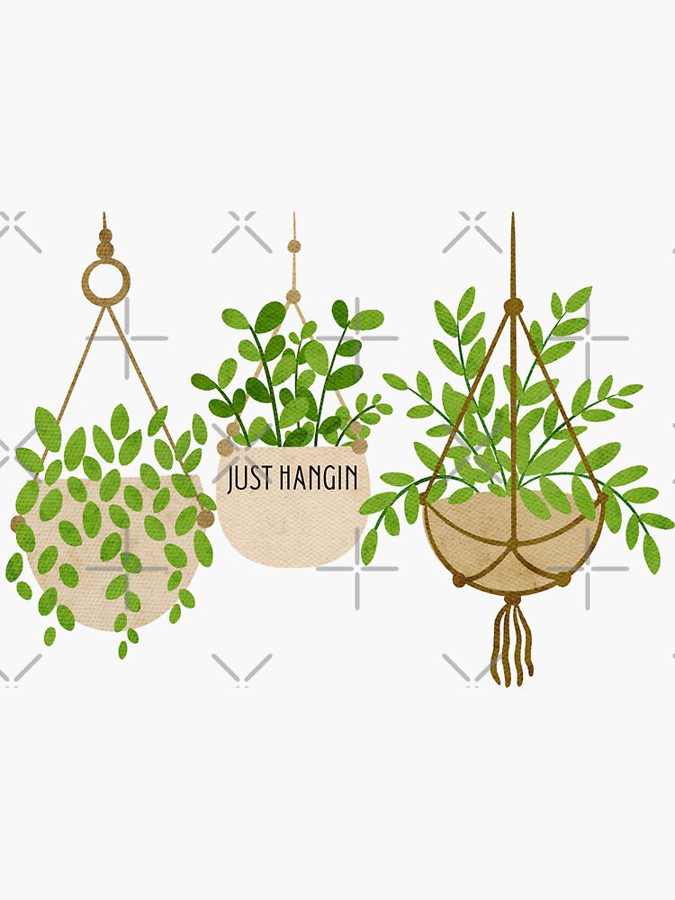 "just hanging house plants" Sticker for Sale by kaelinmeicher Redbubble