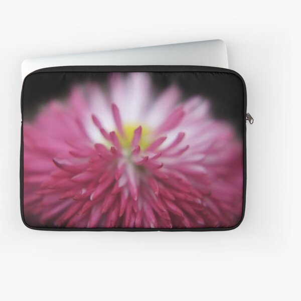 flowers on black - Bellis close-up Laptoptasche