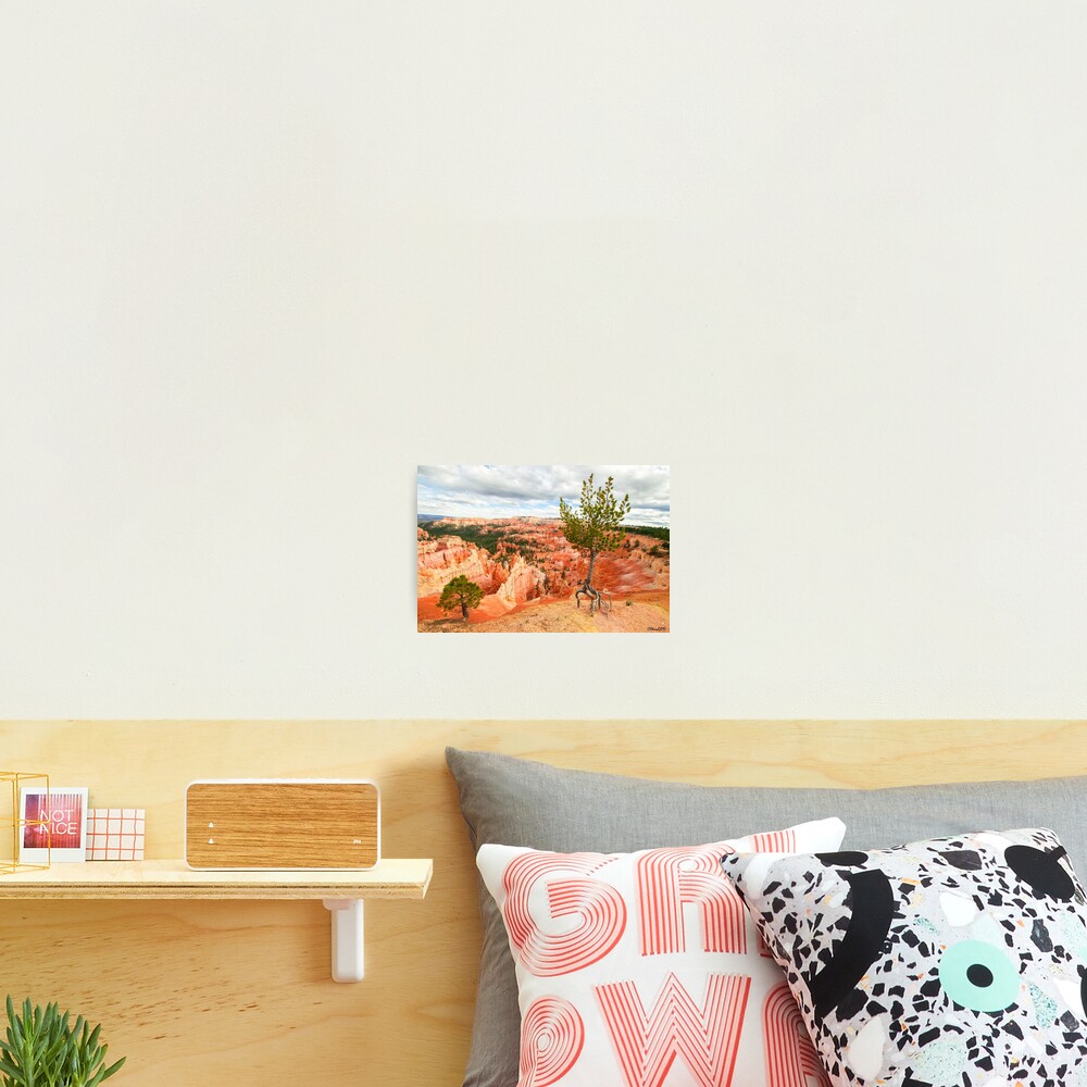 Item preview, Photographic Print designed and sold by CSWard.