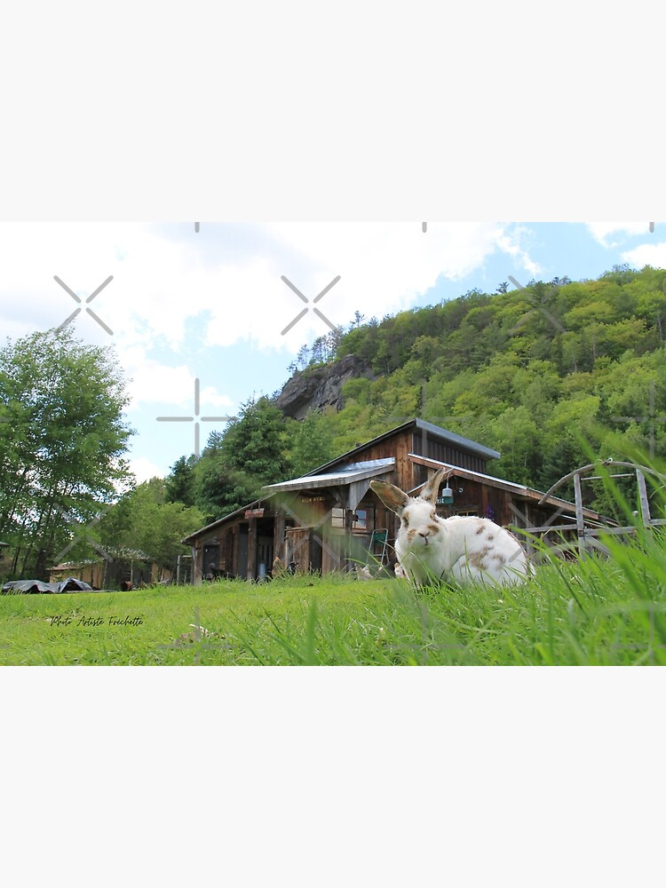 "Gaston Farm Master" Poster for Sale by Fr3ch3tt3 Redbubble