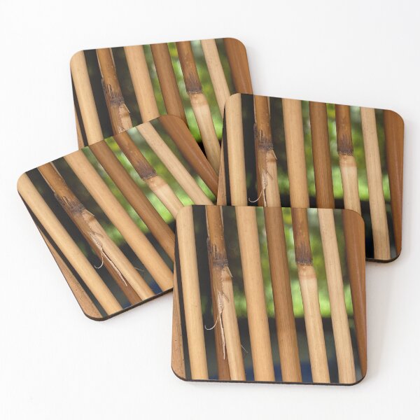 Item preview, Bamboo Screen by Mark Ewing designed and sold by LifeSpice.