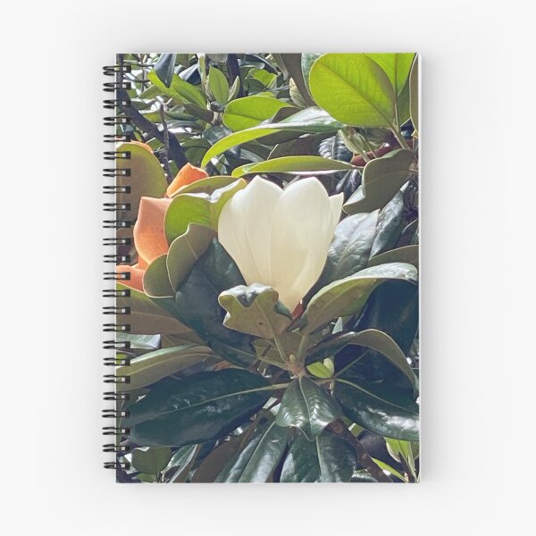 Item preview, Magnolia de Mark Ewing designed and sold by LifeSpice.