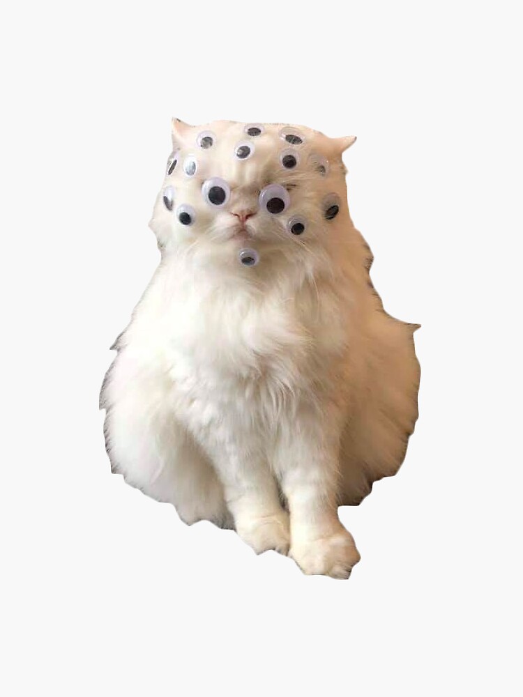 "biblically accurate angel cat" Sticker for Sale by zaofu Redbubble