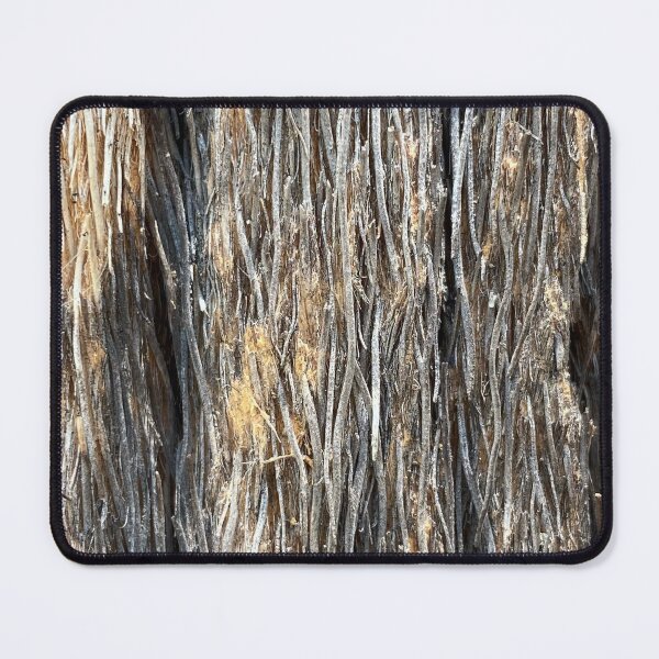 Item preview, Palm Tree Trunk by Mark Ewing designed and sold by LifeSpice.