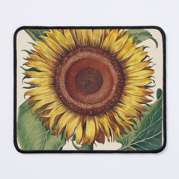 Item preview, sunflower beautiful botanical print vintage sunflower lover gift garden flowers designed and sold by madeulaugh.