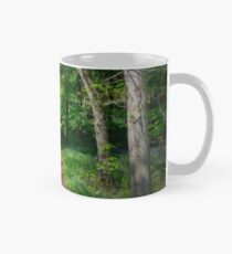 Out of the Woods.. Mug