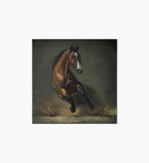 Pferd Galeriedruck
