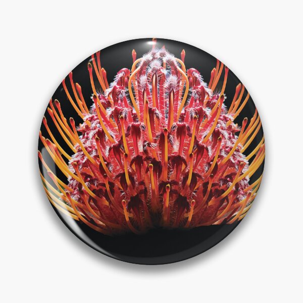 Item preview, Leura Waratah  designed and sold by MarkFoleyPhoto.