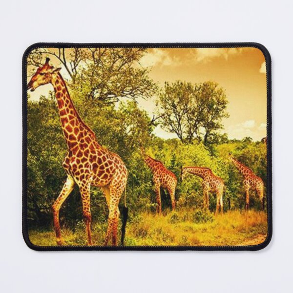 Item preview, For Mens Womens Picture Nature Trees Beauty 251 Gifts For Birthday designed and sold by jacksonjamese.
