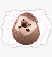 Cute Hedgehog Sticker