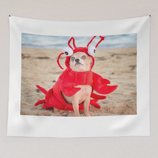 Item preview, perro en langosta designed and sold by lillypeach.