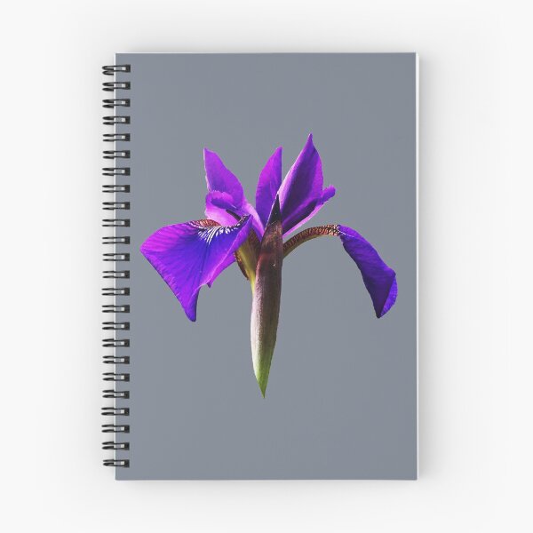 Item preview, Siberian Iris 3 designed and sold by ATJones.