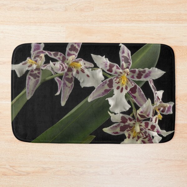 Item preview, Aliceara Tropic Lily 'Hilo Space Ship' designed and sold by LifeSpice.