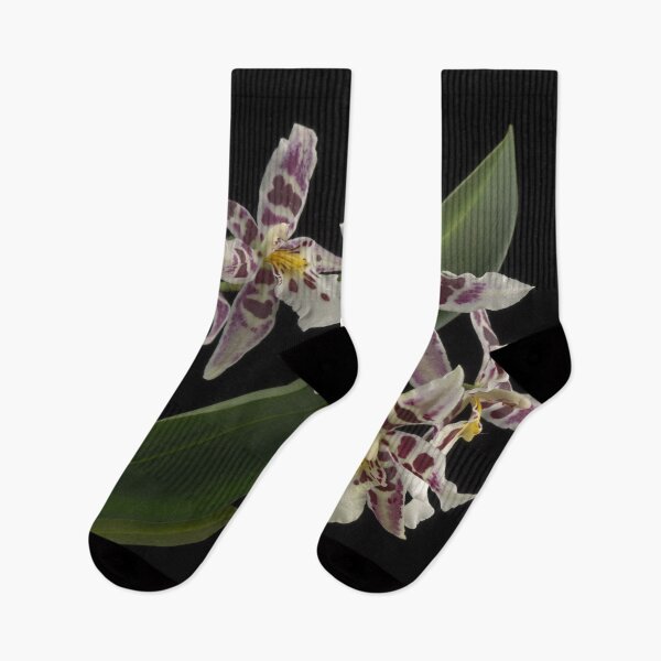 Item preview, Aliceara Tropic Lily 'Hilo Space Ship' designed and sold by LifeSpice.