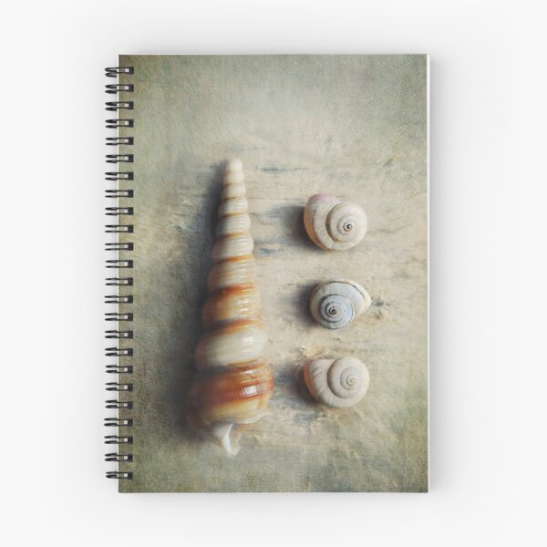 Item preview, Shells on beach wood designed and sold by Lyn  Randle.