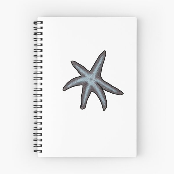 Item preview, Six ray starfish designed and sold by Seatheocean.