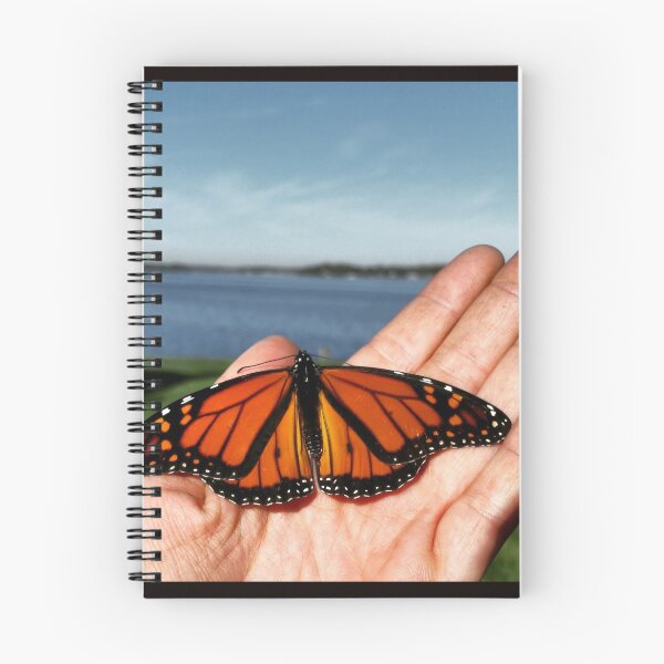 Item preview, Monarch Moment designed and sold by BarnacleBones.