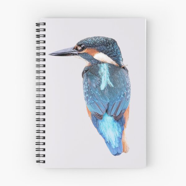 Item preview, Colorful Kingfisher designed and sold by RainbowSpinkle.