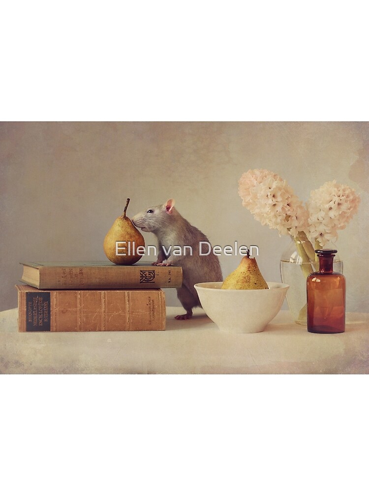 Jimmy by Ellen