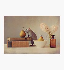 Jimmy Photographic Print