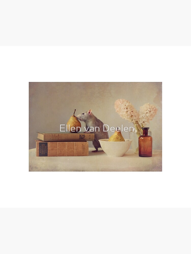 Jimmy by Ellen