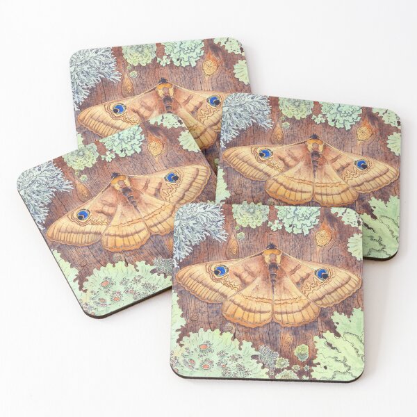 Item preview, Moth and Lichen Ink and Watercolour designed and sold by Zoya Makarova.
