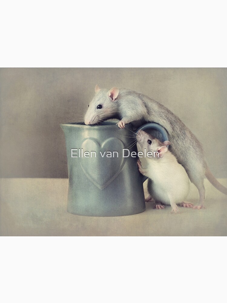 Jimmy and Snoozy by Ellen