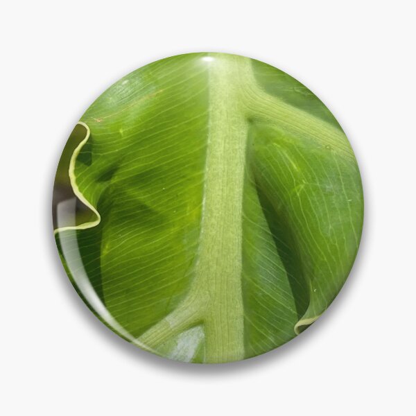 Item preview, Hart's Tongue-Fern by Mark Ewing designed and sold by LifeSpice.