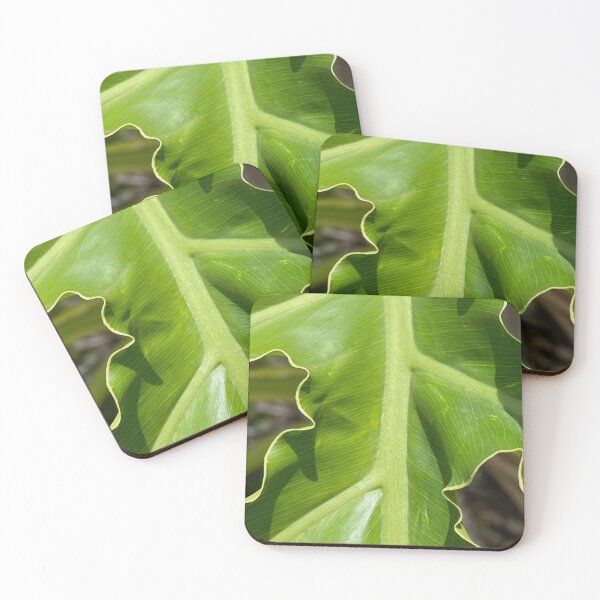 Item preview, Hart's Tongue-Fern by Mark Ewing designed and sold by LifeSpice.