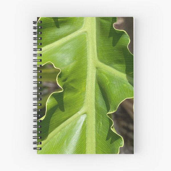Item preview, Hart's Tongue-Fern by Mark Ewing designed and sold by LifeSpice.