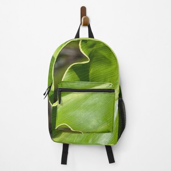 Item preview, Hart's Tongue-Fern by Mark Ewing designed and sold by LifeSpice.
