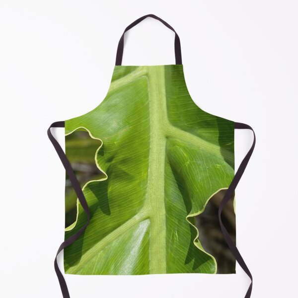 Item preview, Hart's Tongue-Fern by Mark Ewing designed and sold by LifeSpice.