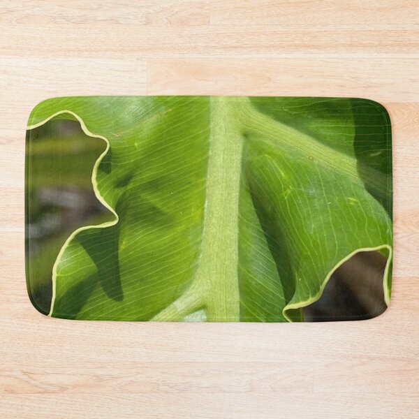 Item preview, Hart's Tongue-Fern by Mark Ewing designed and sold by LifeSpice.