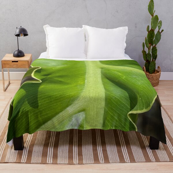 Item preview, Hart's Tongue-Fern by Mark Ewing designed and sold by LifeSpice.