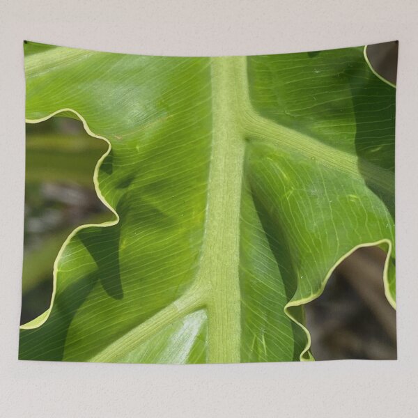 Item preview, Hart's Tongue-Fern by Mark Ewing designed and sold by LifeSpice.