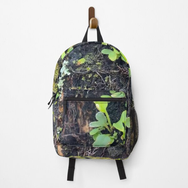 Item preview, Palm Tree Eco-System by Mark Ewing designed and sold by LifeSpice.