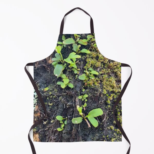 Item preview, Palm Tree Eco-System by Mark Ewing designed and sold by LifeSpice.