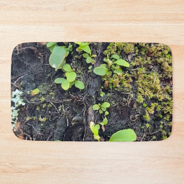 Item preview, Palm Tree Eco-System by Mark Ewing designed and sold by LifeSpice.