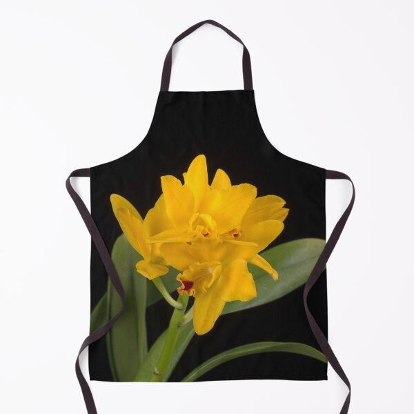 Item preview, × Rhyncattleanthe Love-Love 'Yellow Bird' designed and sold by LifeSpice.