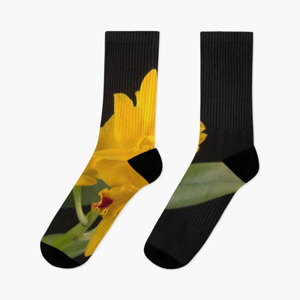 Item preview, × Rhyncattleanthe Love-Love 'Yellow Bird' designed and sold by LifeSpice.