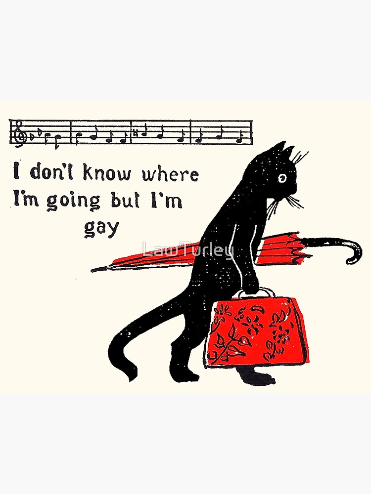 Thumbnail 3 of 3, Photographic Print, "I don't know where I'm going but I'm gay" cat meme designed and sold by LawTurley.