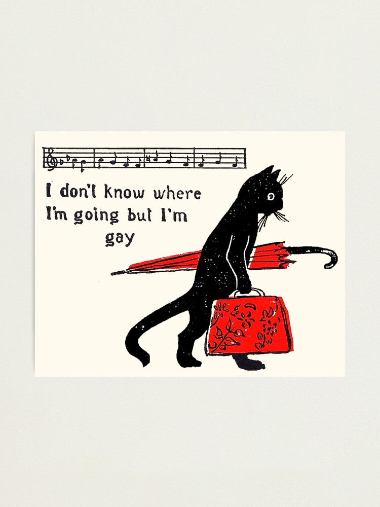 Thumbnail 1 of 3, Photographic Print, "I don't know where I'm going but I'm gay" cat meme designed and sold by LawTurley.