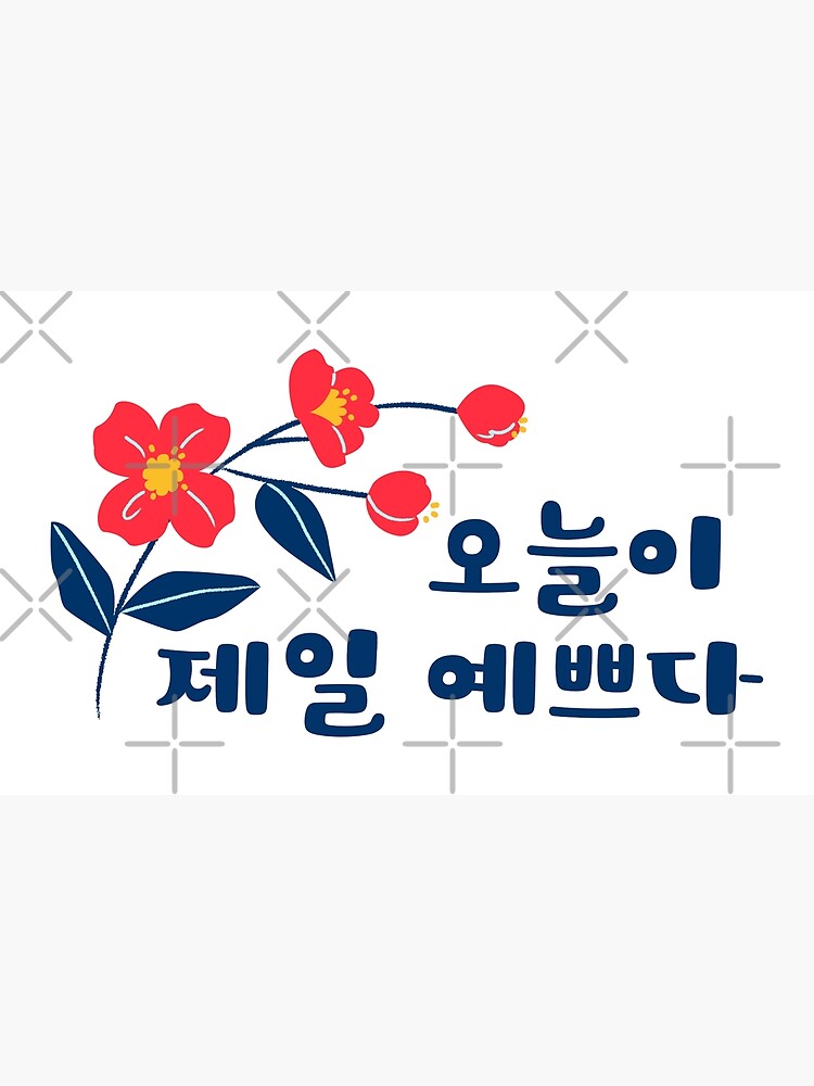 today-is-the-most-beautiful-day-korean-quotes-hangul-photographic